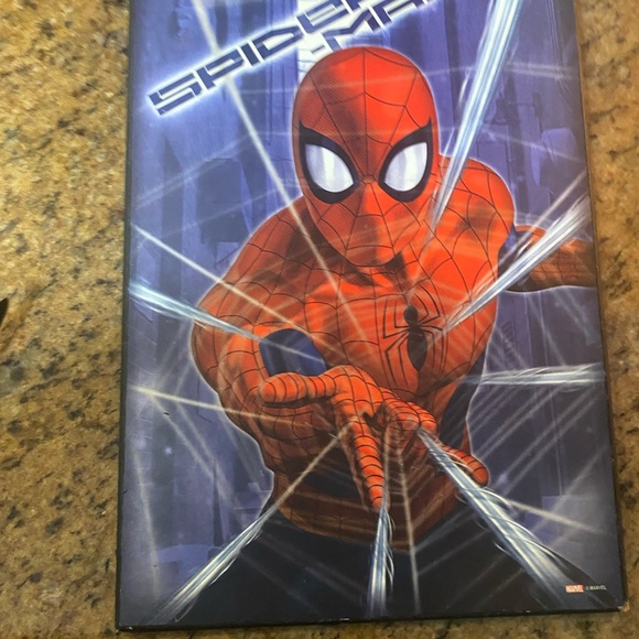 Spider-Man Wall Art - Picture 2 of 3